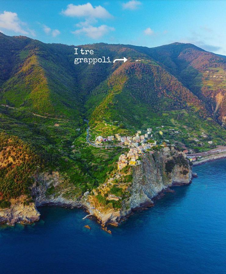 I Tre Grappoli Alloggio per agriturismo *